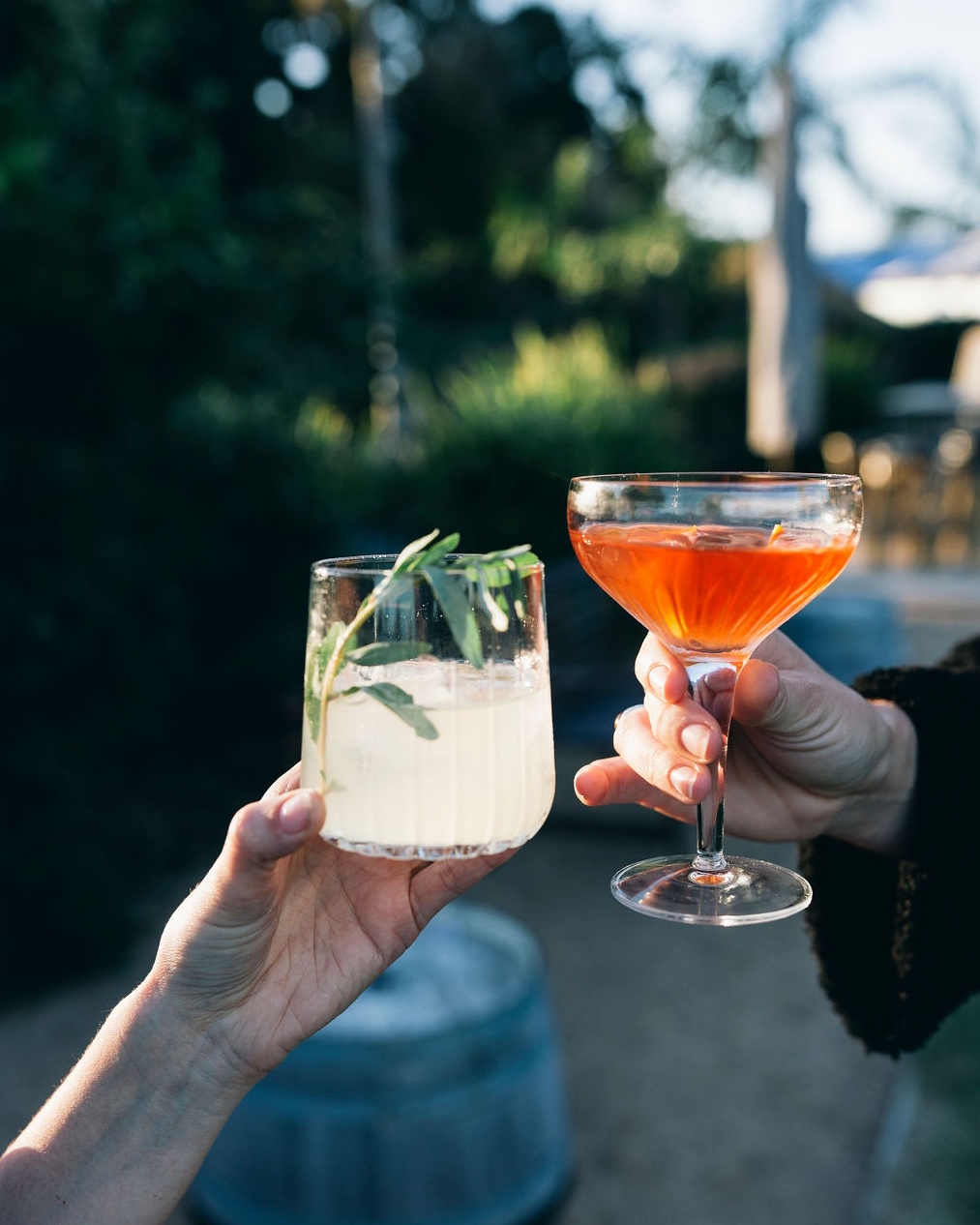 couple clinking glasses at husk farm distillery