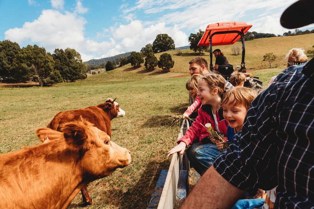 farm tour at hosanna farmstay