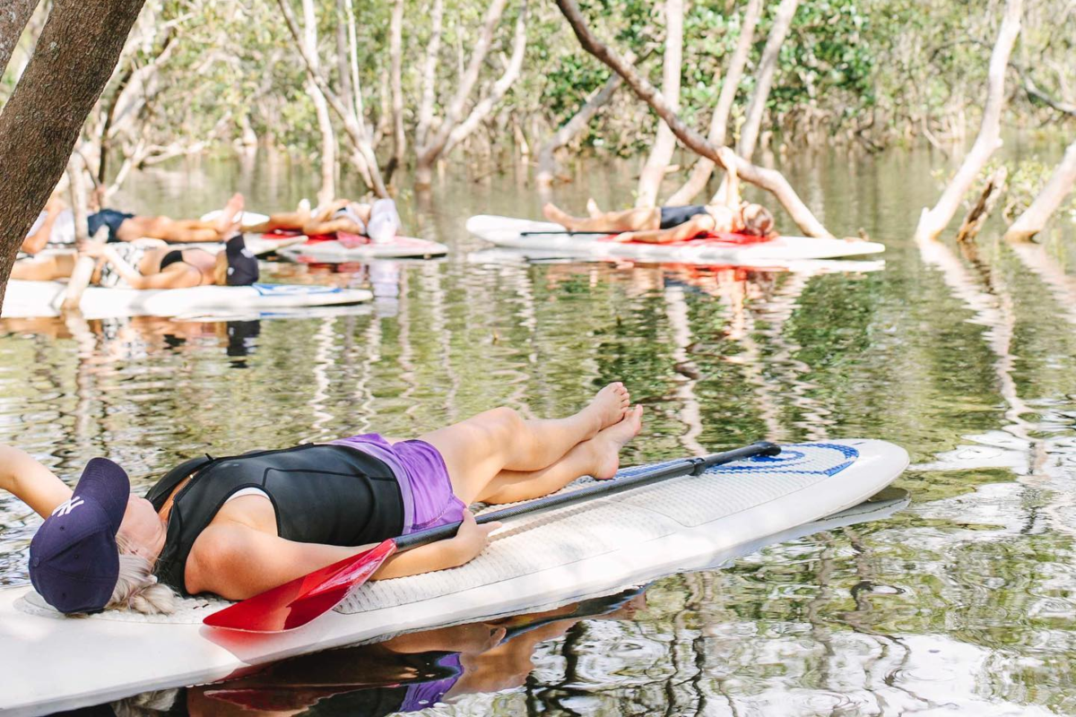 Mindfullness in the mangroves