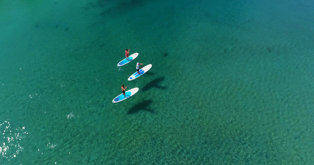 three people stand up paddleboarding on cudgen creek